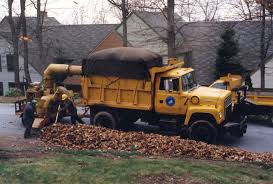 Final Leaf Collection Day Is December 15